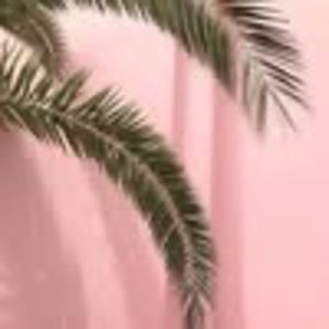 Meet your Posher, Andy